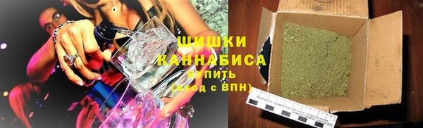 2c-b Гусев