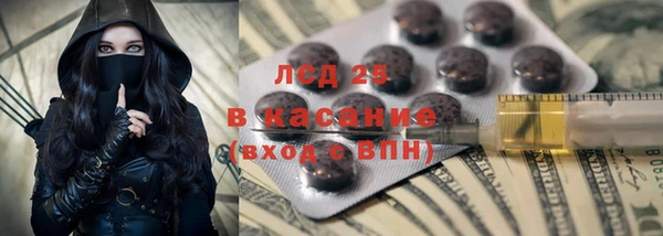 2c-b Гусев