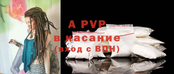 сатива Гусиноозёрск