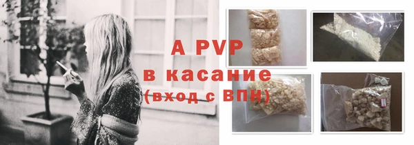 Альфа ПВП Горняк