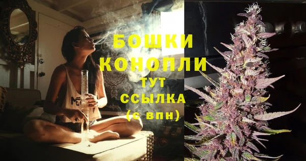2c-b Гусев