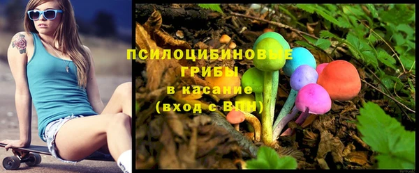 тгк Гусь-Хрустальный