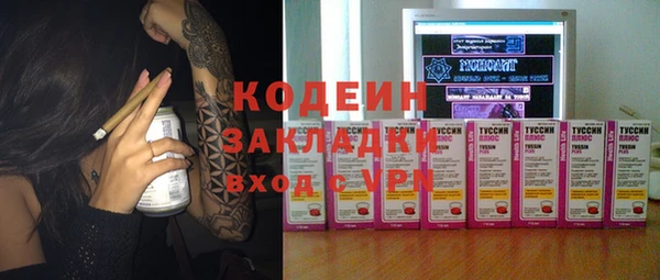 2c-b Гусев